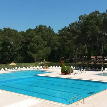 La - Bassin D'arcachon - * 居让梅斯特拉